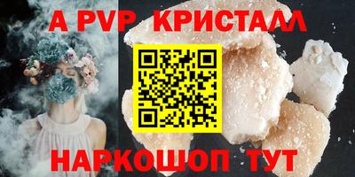 крисы Новозыбков